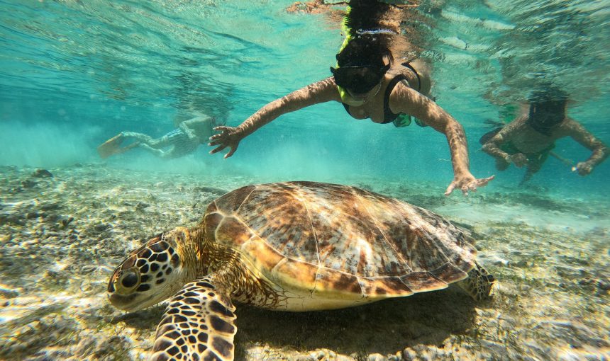 Explore Gili Trawangan, Gili Meno, Gili Air