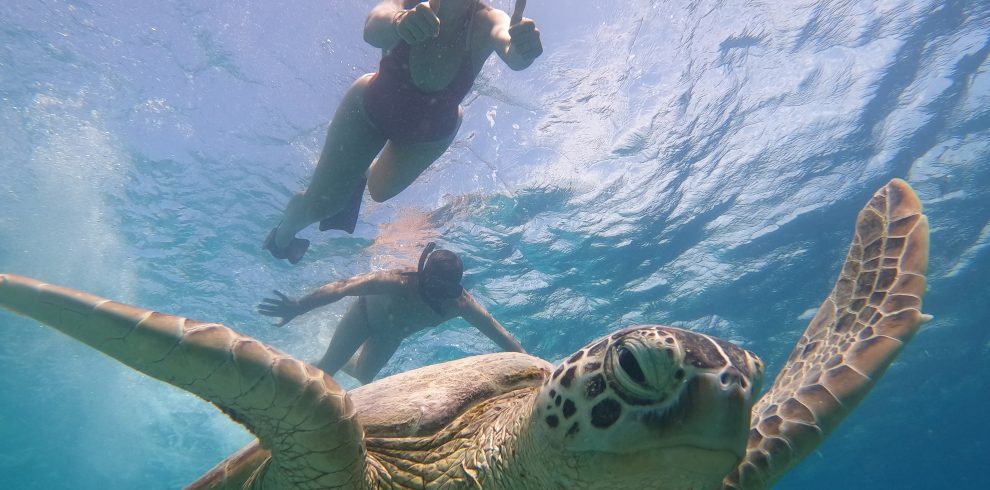 DCIM100GOPROGOPR9560.JPG